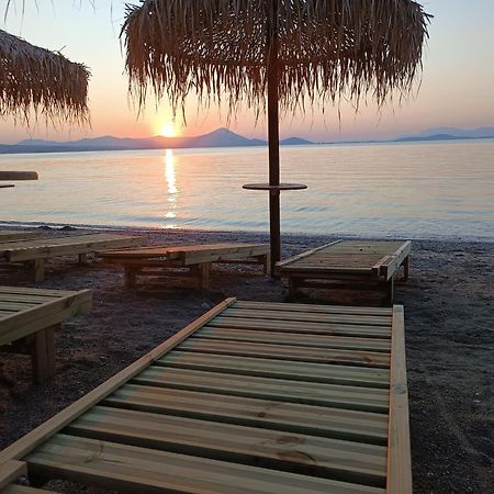 Μοντέρνα Εξοχική Μονοκατοικία Με Ιδιωτική Πισίνα! Khalkoutsion 外观 照片