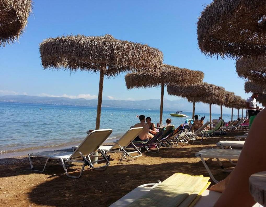 Μοντέρνα Εξοχική Μονοκατοικία Με Ιδιωτική Πισίνα! Khalkoutsion 外观 照片