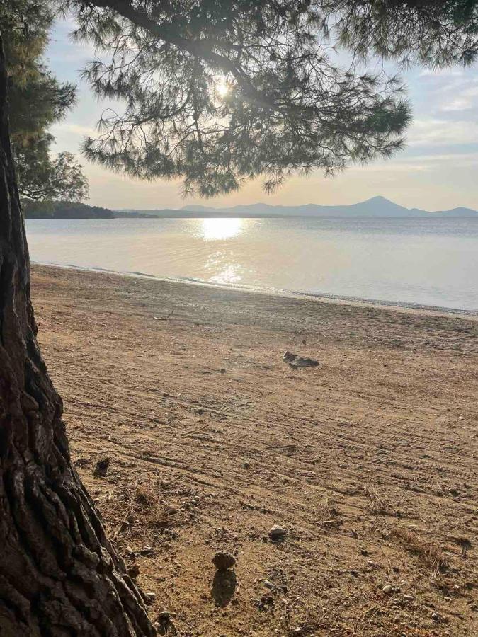 Μοντέρνα Εξοχική Μονοκατοικία Με Ιδιωτική Πισίνα! Khalkoutsion 外观 照片