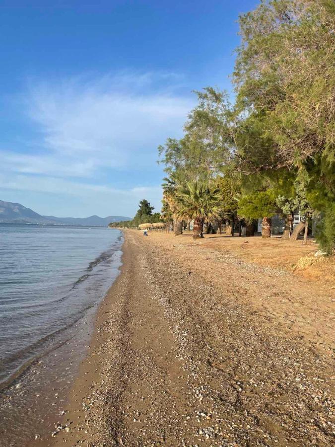 Μοντέρνα Εξοχική Μονοκατοικία Με Ιδιωτική Πισίνα! Khalkoutsion 外观 照片